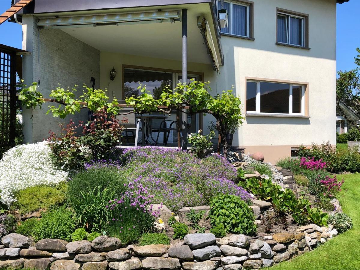 Ferienwohnung Beate 霍赫斯特 外观 照片