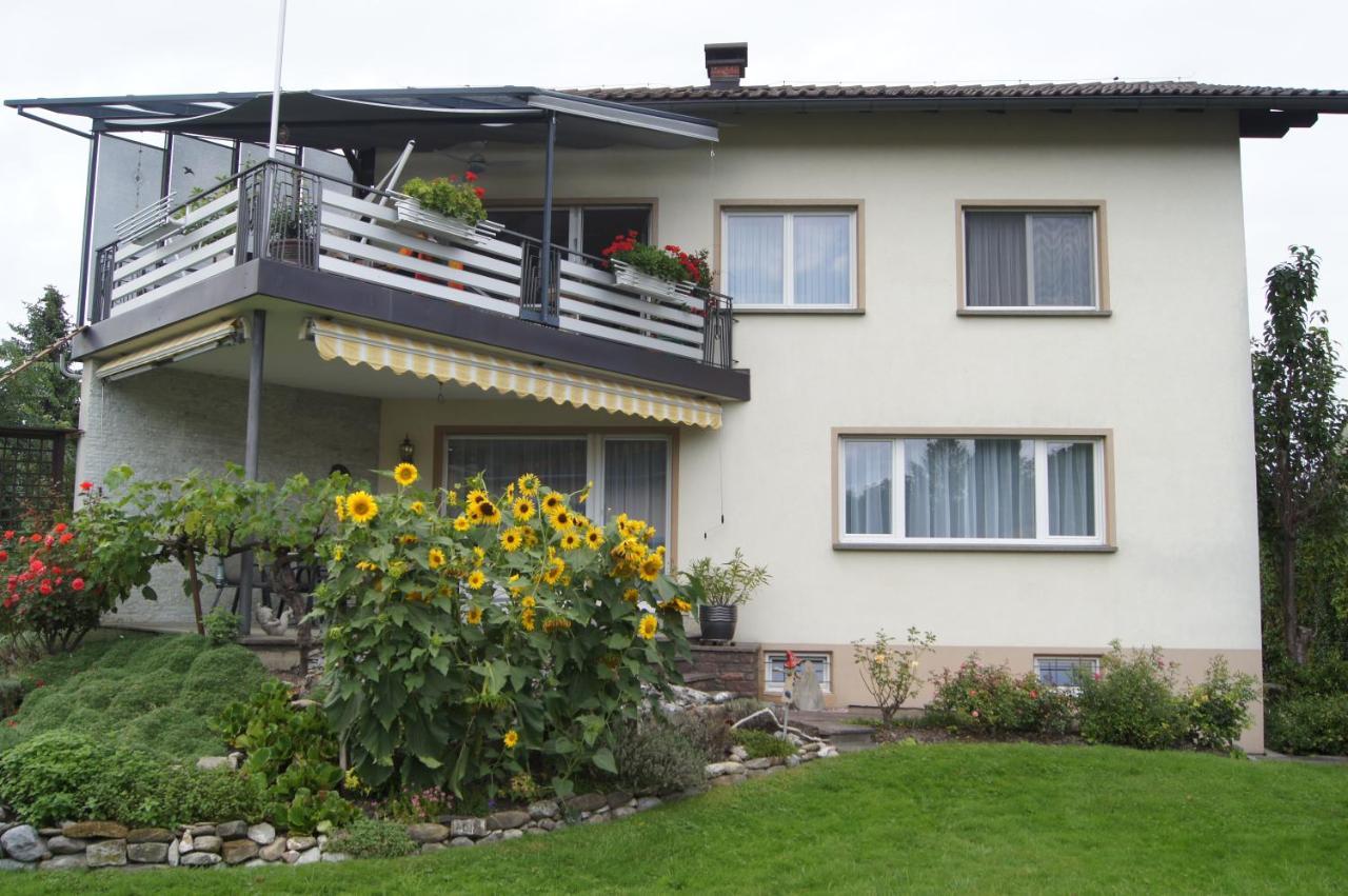 Ferienwohnung Beate 霍赫斯特 外观 照片
